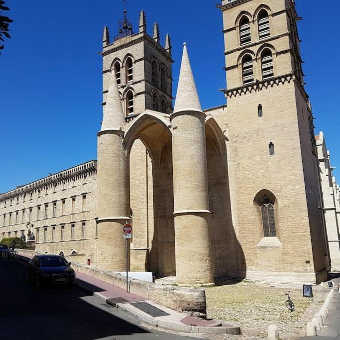 Appartement Cosy Et Calme - Centre Historique Montpellier Luaran gambar